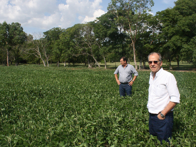 Argentina is expected cut soybean planted area by 1% in the upcoming planting season. (DTN file photo by Alastair Stewart)